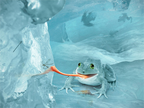Create a Fictional Arctic Snow Frog in Photoshop - Alexandra Fomicheva