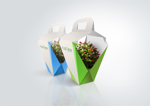 Flower Garden- packaging for flower - Milena Wlodarczyk